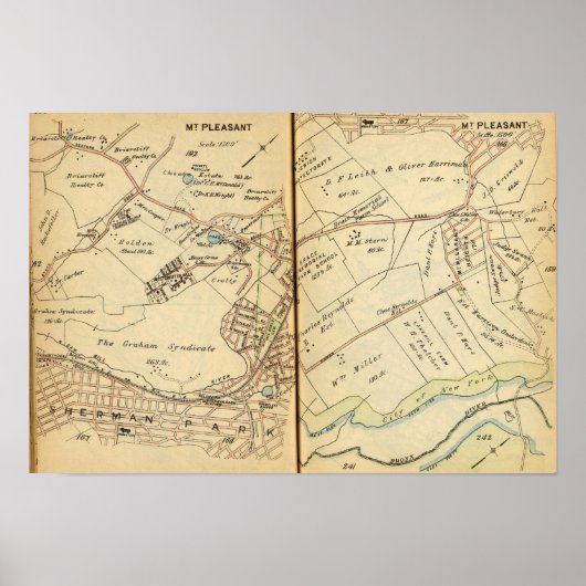 Mt. Pleasant, New York 3 Poster (Voorkant)