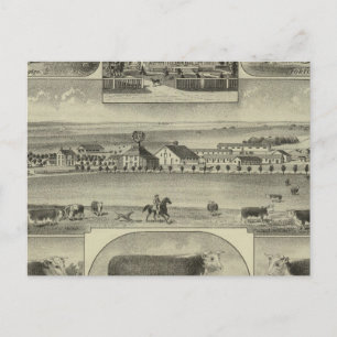 Mt. Pleasant Stock Boerderij, Colony, Kansas Briefkaart