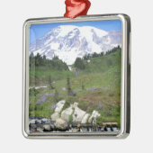 Mt Rainer, Edith Creek Metalen Ornament (Links)