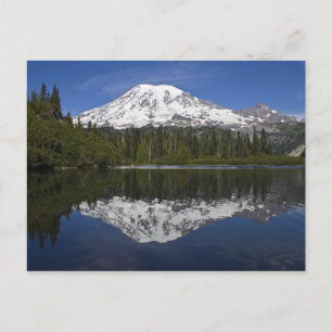 Mt. Rainier Briefkaart
