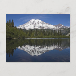 Mt. Rainier Briefkaart