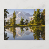 Mt. Rainier gereflecteerd in een tarn nabij Plumme Briefkaart (Voorkant)