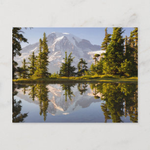Mt. Rainier gereflecteerd in een tarn nabij Plumme Briefkaart