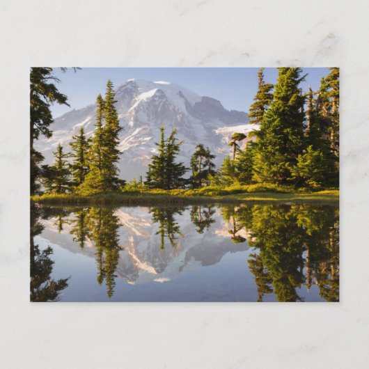 Mt. Rainier gereflecteerd in een tarn nabij Plumme Briefkaart (Voorkant)