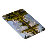 Mt. Rainier gereflecteerd in een tarn nabij Plumme Magneet (Rechterzijde)