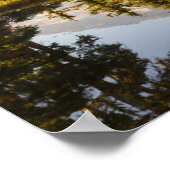 Mt. Rainier gereflecteerd in een tarn nabij Plumme Poster (Hoek)