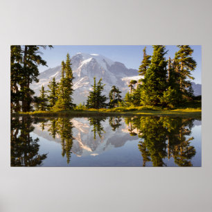 Mt. Rainier gereflecteerd in een tarn nabij Plumme Poster