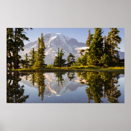 Mt. Rainier gereflecteerd in een tarn nabij Plumme Poster (Voorkant)