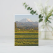 Mt. Rainier in de staat Washington Briefkaart (Staand voorkant)