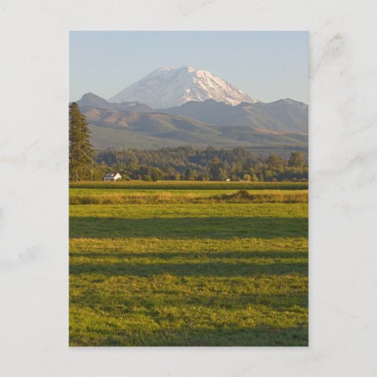Mt. Rainier in de staat Washington Briefkaart (Voorkant)