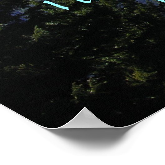 Mt. Rainier in mist met scriptversie Poster (Hoek)