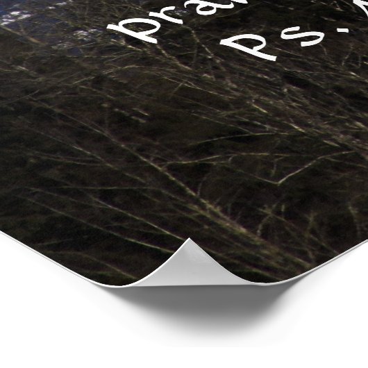 Mt. Rainier in winter Afdrukken met Scriptversie Poster (Hoek)