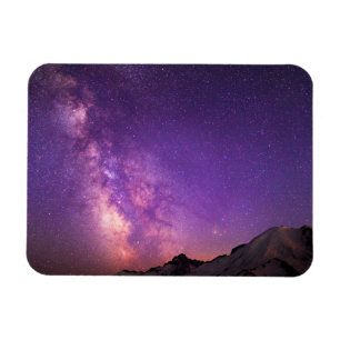 Mt. Rainier Nationaal Park Staat Washington Magneet