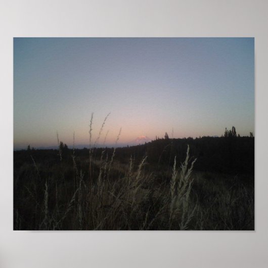 Mt Rainier. Poster (Voorkant)