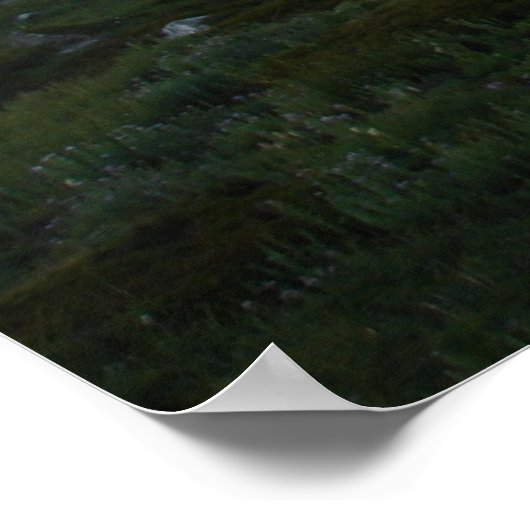 Mt Rainier, Seattle Poster (Hoek)