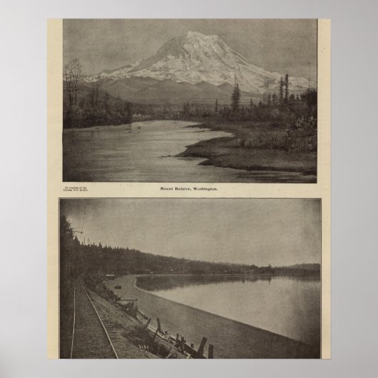 Mt Rainier Steilacoom Beach Poster (Voorkant)