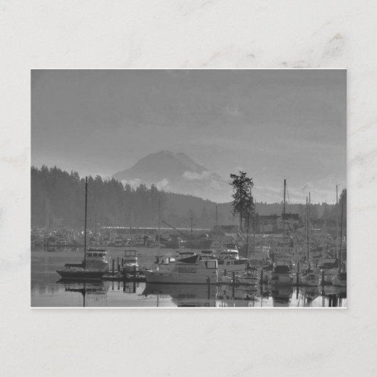 Mt. Rainier uit Gig Harbour Briefkaart (Voorkant)
