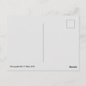 Mt. Rainier, WA Briefkaart (Achterkant)