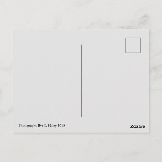 Mt. Rainier, WA Briefkaart (Achterkant)