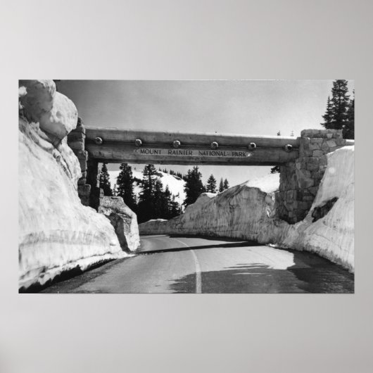 Mt. Rainier, WA Chinook Pass Summit Naches Pass Poster (Voorkant)