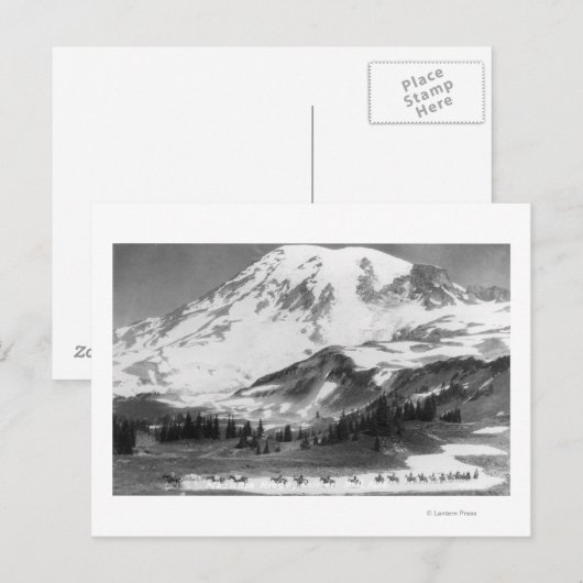 Mt. Rainier, WA Crossing Mazama Ridge on Horse Briefkaart (Voorkant / Achterkant)
