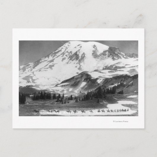 Mt. Rainier, WA Crossing Mazama Ridge on Horse Briefkaart (Voorkant)