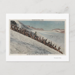 Mt. Rainier, WA - Lijn mensen die in Briefkaart