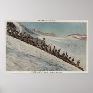 Mt. Rainier, WA - Lijn mensen die in Poster