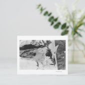 Mt. Rainier, WA Nisqually Glacier Briefkaart (Staand voorkant)