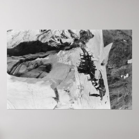 Mt. Rainier, WA Nisqually Glacier Poster (Voorkant)