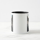 Mt. Rainier, Washington - Uitzicht van Sluiskin-He Mok (Midden)