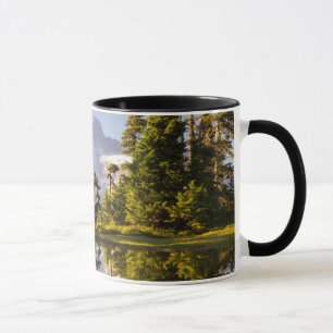 Mt. Rainier weerspiegeld in een bergmeer bij Plumm Mok