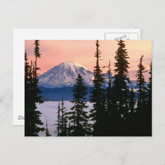Mt. Ranier, Washington Briefkaart (Voorkant / Achterkant)