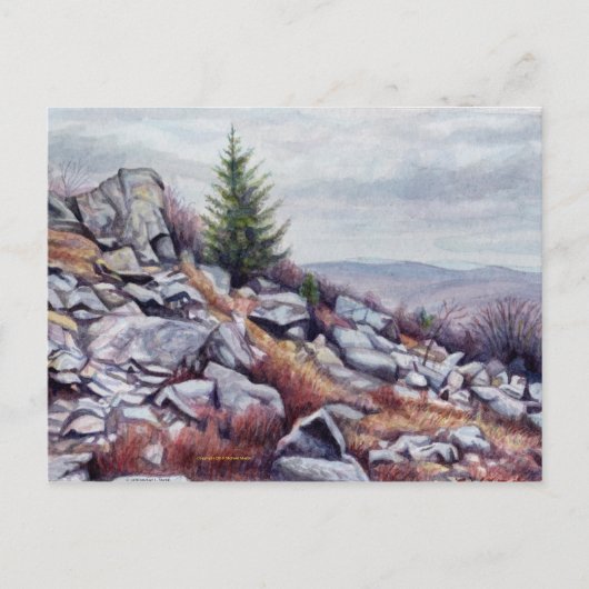 Mt. Rogers Briefkaart (Voorkant)