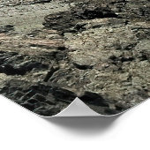 Mt. Rollerston Poster (Hoek)