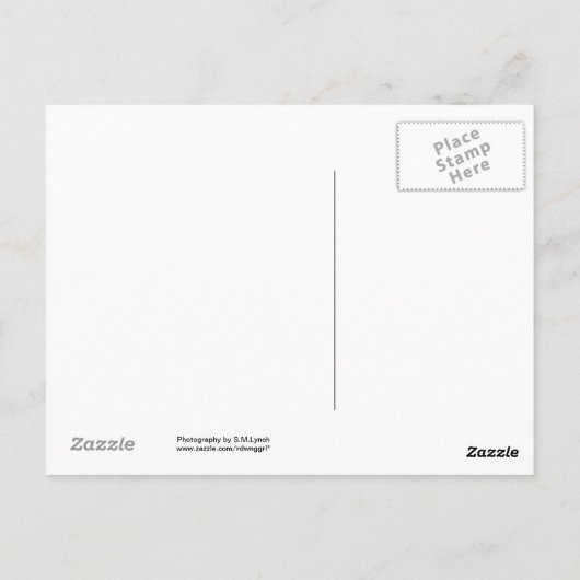 Mt. Rushmore Briefkaart (Achterkant)