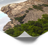 Mt. Rushmore Panorama Poster (Hoek)