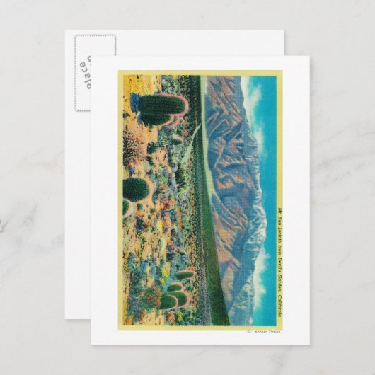 Mt. San Jacinto van Devil's Garden Briefkaart (Voorkant / Achterkant)