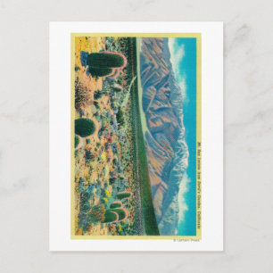 Mt. San Jacinto van Devil's Garden Briefkaart