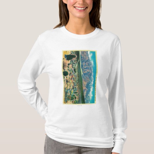Mt. San Jacinto van Devil's Garden T-shirt (Voorkant)
