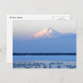Mt. Shasta California Briefkaart (Voorkant / Achterkant)