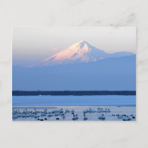 Mt. Shasta California Briefkaart