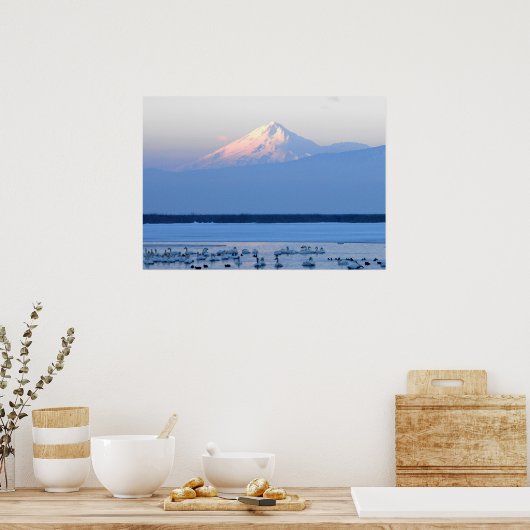 Mt. Shasta California Poster (Keuken)