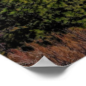 MT SHASTA MET LENTICULAIRE POSTER (Hoek)