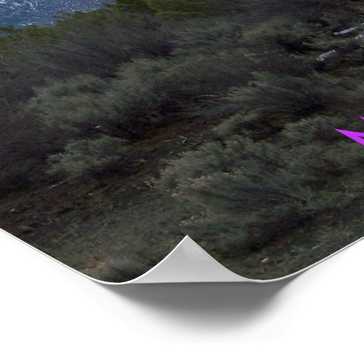 Mt. Shasta Poster (Hoek)