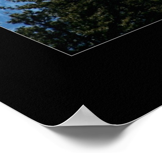 Mt Shasta Poster (Hoek)