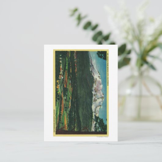 Mt. Shasta Uitzicht uit Shasta CityShasta, CA Briefkaart (Staand voorkant)