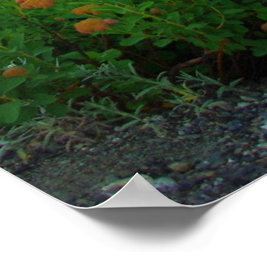 Mt. Shuksan Poster (Hoek)