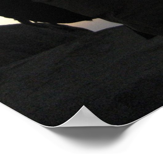 Mt. Sinai Poster (Hoek)