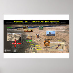 Mt. Sinai - Profetische patronen 8 Poster